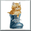 Kitten