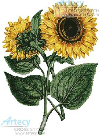 Artecy Cross Stitch. Sunflower Cross Stitch Pattern to print online.