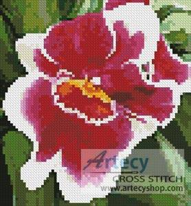 counted cross stitch pattern Orchid Bee by thecottageneedle