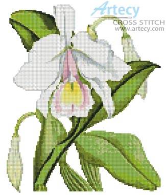 ORCHID AND HUMMINGBIRD cross stitch pattern