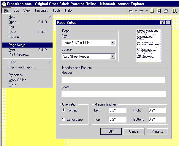 Page Setup