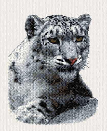 Snow Leopard Cross Stitch Pattern leopard