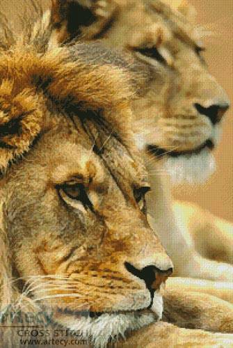 Lion Couple Cross Stitch Pattern lion